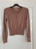 Bruin vest met knoopjes maat 36 van Primark, Bruin, Primark, Nieuw, Ophalen of Verzenden