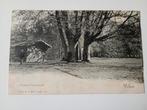 Velsen Buiten-Velserbeek, Ophalen of Verzenden, Voor 1920, Ongelopen, Noord-Holland