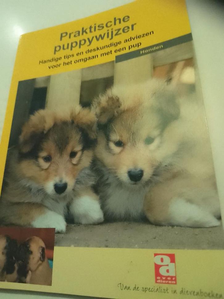 Praktische puppywijzer, Boeken, Dieren en Huisdieren, Zo goed als nieuw, Honden, Ophalen of Verzenden