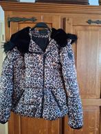 Dames winterjas maat XL  Coolcat, Kleding | Dames, Ophalen of Verzenden, Zo goed als nieuw, Maat 46/48 (XL) of groter, Jack