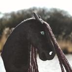 Hobby horse, Hobby en Vrije tijd, Overige Hobby en Vrije tijd, Ophalen of Verzenden, Nieuw