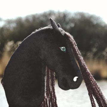 Hobby horse beschikbaar voor biedingen