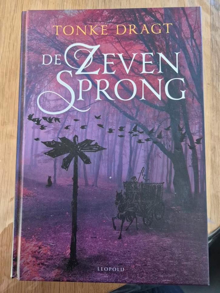 Tonke Dragt - De Zevensprong, Boeken, Kinderboeken | Jeugd | onder 10 jaar, Zo goed als nieuw, Fictie algemeen, Ophalen of Verzenden