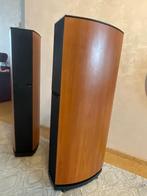 JAMO D570 (D 570) High-End luidsprekers, Hi-Fi vloerzuilen, Ophalen, Gebruikt, 120 watt of meer, Front, Rear of Stereo speakers