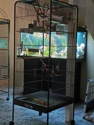 Vogelkooi nog geen twee weken in gebruik.  beschikbaar voor biedingen