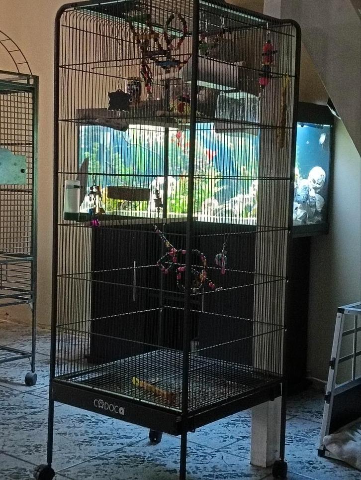 Vogelkooi nog geen twee weken in gebruik., Dieren en Toebehoren, Vogels | Hokken en Kooien, Zo goed als nieuw, Vogelkooi, Metaal