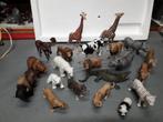 SCHLEICH COLLECTIE met 21 WILDE DIEREN I.Z.G.STAAT voor 60 E, Ophalen of Verzenden, Zo goed als nieuw, Beeldje of Figuurtje