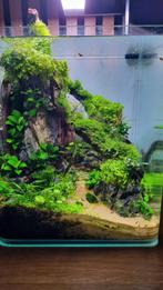 20L nano aquarium met 100L filter en ONF flat nono+ lamp, Ophalen, Zo goed als nieuw, Leeg aquarium