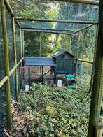 Kippenhok voor 3 kippen, Dieren en Toebehoren, Pluimvee | Toebehoren, Ophalen, Gebruikt, Kippenhok of Kippenren