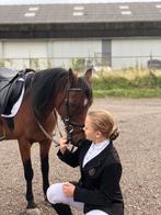 Ruiter gevraagd voor B pony, Dieren en Toebehoren, Pony's, Merrie