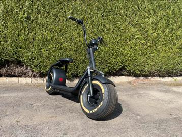 Citycoco Fatboy LT019 (bj. 2018 / accu leeg/defect!) beschikbaar voor biedingen