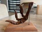 Velociraptor replica poot / dinosaurus, Verzamelen, Ophalen of Verzenden, Mineraal