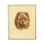 Vintage Ingelijste Kleuren Litho Hond Chow Chow Gesigneerd, Ophalen of Verzenden, Gebruikt