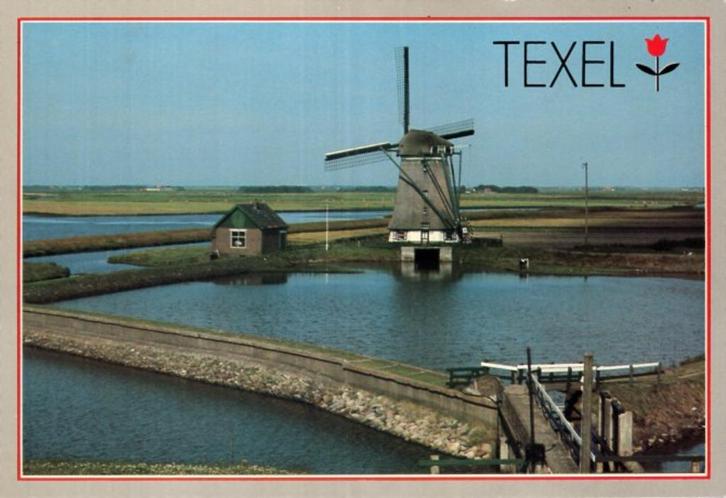 (NH562) Ansichtkrt Texel Oosterend molen 't Noorden 12x17cm, Verzamelen, Ansichtkaarten | Nederland, Ongelopen, Noord-Holland