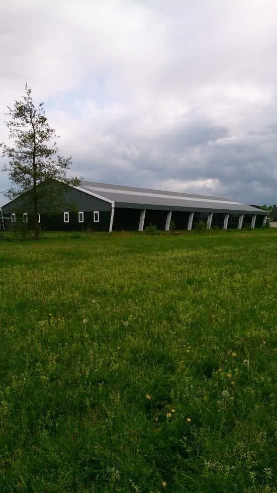 Stalling aangeboden in Ureterp - Stal fan ‘e Bûtemare, Dieren en Toebehoren, Stalling en Weidegang, Stalling