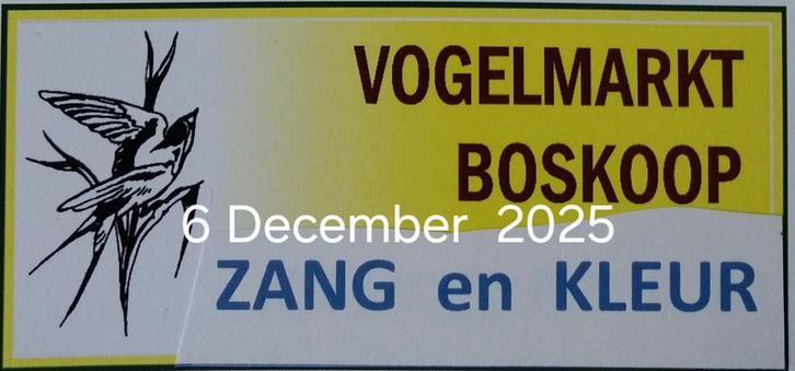 Vogelmarkt Boskoop Zang en Kleur 6 December 2025, Dieren en Toebehoren, Vogels | Hokken en Kooien, Nieuw, Overige typen, Hout