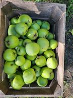 Appels biologisch voor o.a. appelmoes appeltaart cider, Ophalen