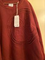 Guess warme sweater trui, Kleding | Dames, Guess, Maat 42/44 (L), Nieuw, Ophalen of Verzenden