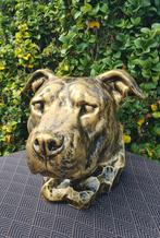 Honden koppen ook bruikbaar als urn, Ophalen of Verzenden, Nieuw, Kunststof, Dierenbeeld