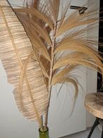 Decoratieve pluimen en rieten veer, Ophalen, Nieuw