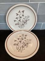 Vintage ontbijtbord Biltons (240925), Huis en Inrichting, Keuken | Servies, Gebruikt, Ophalen of Verzenden, Bord(en), Overige stijlen