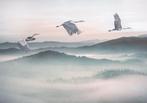 Kraanvogel behang Mystic Cranes, 400x280 cm, Muurdeco4kids, Verzenden, 10 tot 25 m², Kraanvogel, vogelbehang