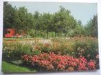N80 Winschoten - Rosarium Stadspark, Verzamelen, Ansichtkaarten | Nederland, Verzenden, 1980 tot heden, Gelopen, Groningen