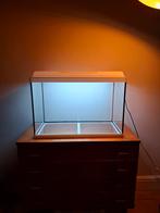 Mooi aquarium van merk Juwel (incl pomp en verlichting), Dieren en Toebehoren, Ophalen, Leeg aquarium