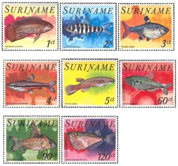 SURINAME 63 - Dieren: vissen beschikbaar voor biedingen