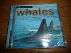 CD The sound of Whales, Cd's en Dvd's, Cd's | Meditatie en Spiritualiteit
