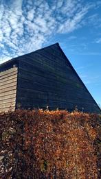 Zwarte houten schaaldelen, Doe-het-zelf en Verbouw, Hout en Planken, Ophalen, Gebruikt, 25 tot 50 mm, Plank