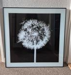 Schilderij 57 x 57 cm, Huis en Inrichting, Woonaccessoires | Schilderijen, Tekeningen en Foto's, Ophalen, Zo goed als nieuw