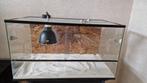Terrarium, Ophalen, Zo goed als nieuw, Terrarium of Paludarium