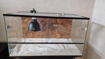 Terrarium beschikbaar voor biedingen