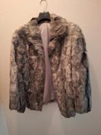 Bontjasje, Kleding | Dames, Ophalen, Maat 46/48 (XL) of groter, Zo goed als nieuw, Grijs