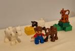 Lego DUPLO 5646 dierenverzorging, Kinderen en Baby's, Speelgoed | Duplo en Lego, Duplo, Ophalen of Verzenden, Zo goed als nieuw
