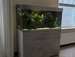 Eheim proxima 250, Ophalen, Zo goed als nieuw, Gevuld zoetwateraquarium