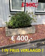 arduin stenen trog   drink - bloemen - voeder bak..., Tuin en Terras, Ophalen, Steen, Gebruikt, 100 cm of meer