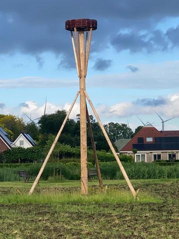 Ooievaarsnest | Ooievaar Stork Uiver Eiber | Ooievaarspaal  beschikbaar voor biedingen