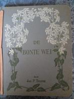 De Bonte Wei - Jac. P. Thijsse, Antiek en Kunst, Ophalen of Verzenden, Jac. P. Thijsse