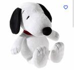 Grote Snoopy Knuffel, Ophalen of Verzenden, Zo goed als nieuw, Hond