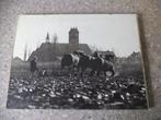originele zwart wit foto boer oost groningen paard ploeg, Foto, Ophalen of Verzenden, Zo goed als nieuw, 1940 tot 1960