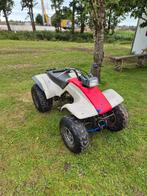 Yamaha breeze, Motoren, Quads en Trikes