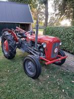 Massey Ferguson 35, Ophalen, Oldtimer, Tot 80 Pk, Massey Ferguson