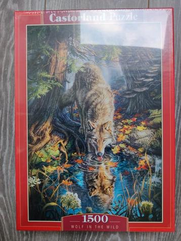 Nieuwe puzzel van Castorland (1000 stukjes) beschikbaar voor biedingen