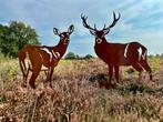 Cortenstalen Dierenbeelden - Eigen Productie, Tuin en Terras, Dierenbeeld, Mijn Staal, Dorpastraat 65, Nieuw