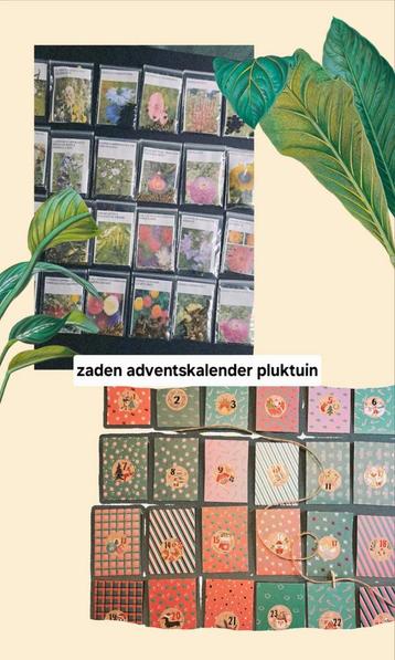 Adventskalender pluktuin beschikbaar voor biedingen