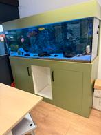 Mooi groot aquarium, Ophalen, Zo goed als nieuw, Gevuld zoetwateraquarium