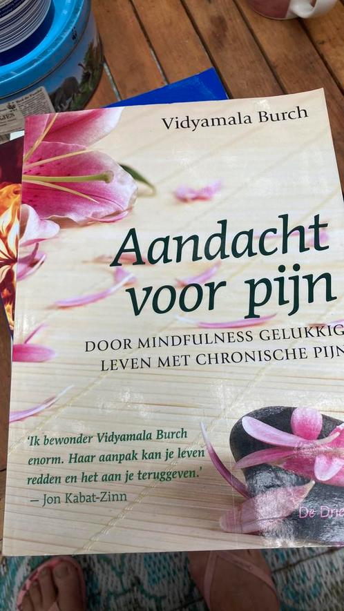 Vidyamala Burch - Aandacht voor pijn, Boeken, Wetenschap, Zo goed als nieuw, Ophalen of Verzenden