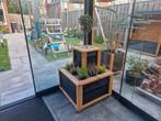 Plantenbak douglas/zwart rabat, trapsgewijs, 60x60x30/60., Ophalen, Tuin, Nieuw, 60 cm of meer